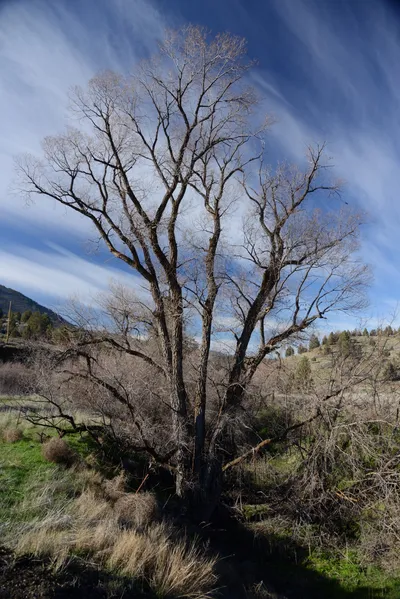 DSC_1064 (Large).JPG